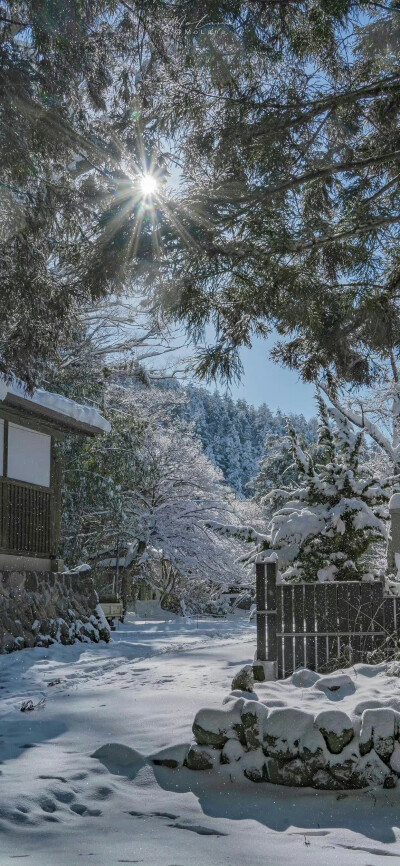 全屏壁纸