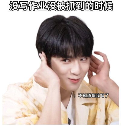 还是每个小狗的头都想摸