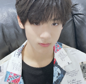 那一世未曾认出的你