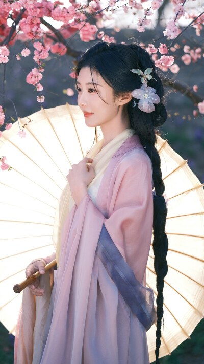 曹斐然