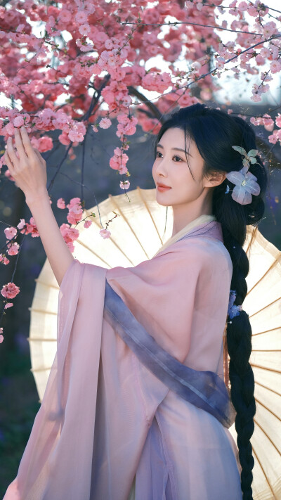 曹斐然