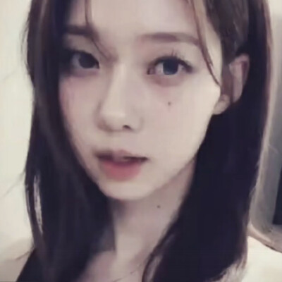 狗界称王