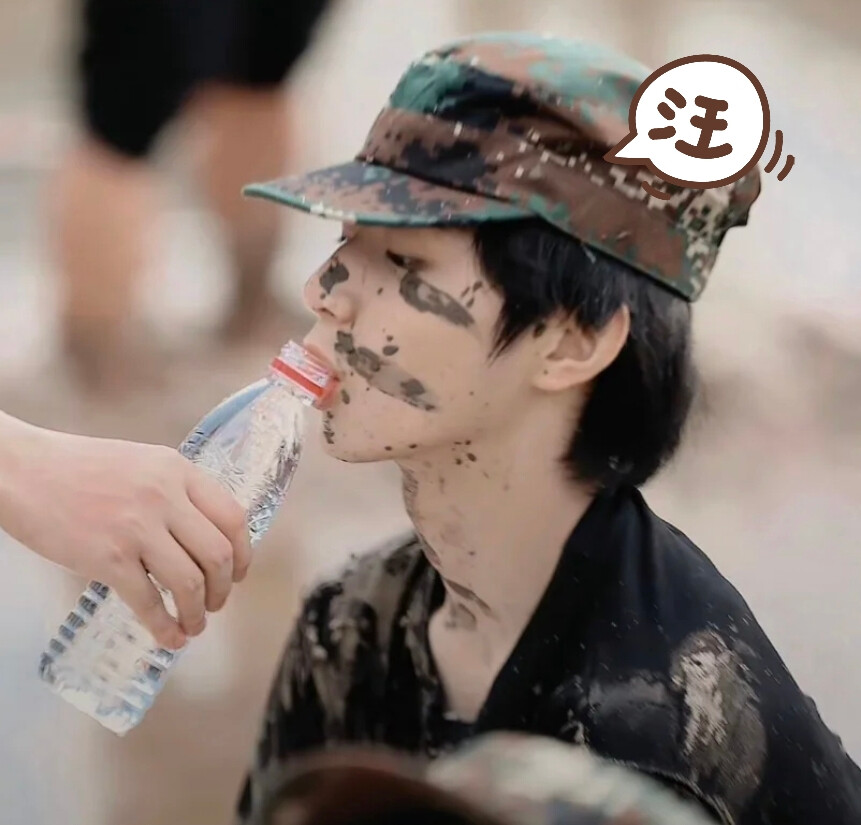 还是每个小狗的头都想摸