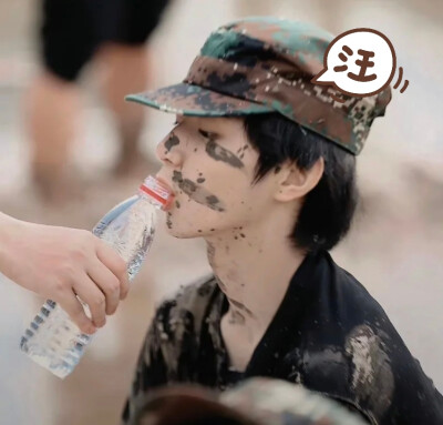 还是每个小狗的头都想摸