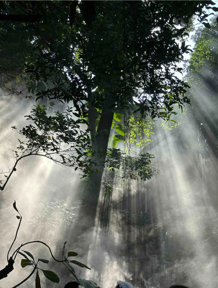 丁达尔光背景图 光的背景图