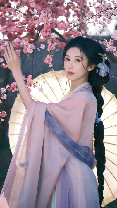 曹斐然
