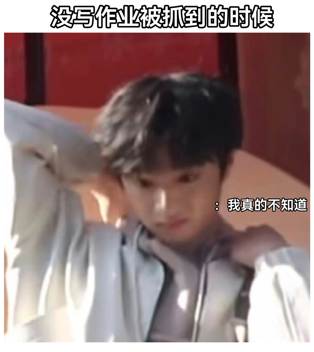 还是每个小狗的头都想摸