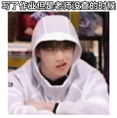 还是每个小狗的头都想摸