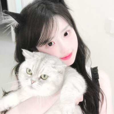 兔兔女头