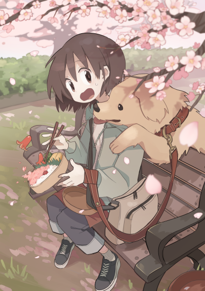 景