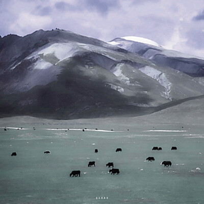 “ 这世间没有无缘无故的爱，只有无缘无故的恨 ”