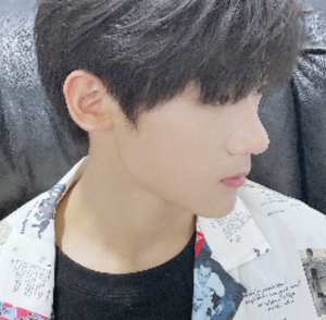 那一世未曾认出的你