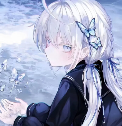 蝶