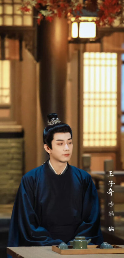 王子奇《榜上佳婿》陆徜