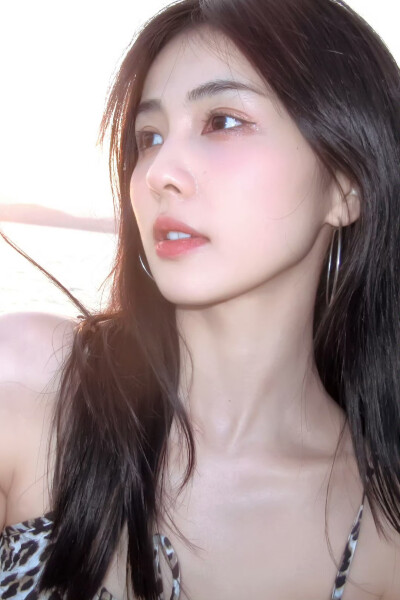 白鹿