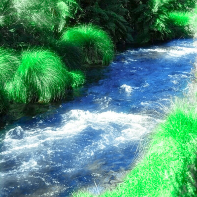 spring