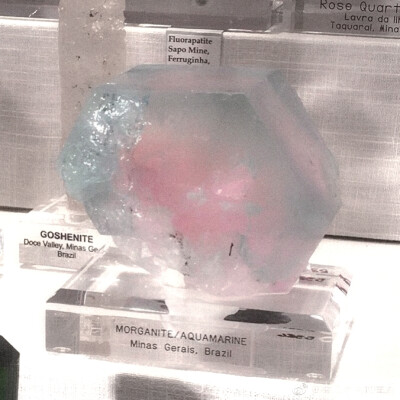 颜霸驾到哈