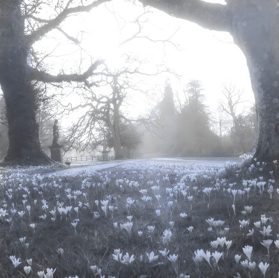
秋の子猫 ^  蜷缩在路边的长椅…