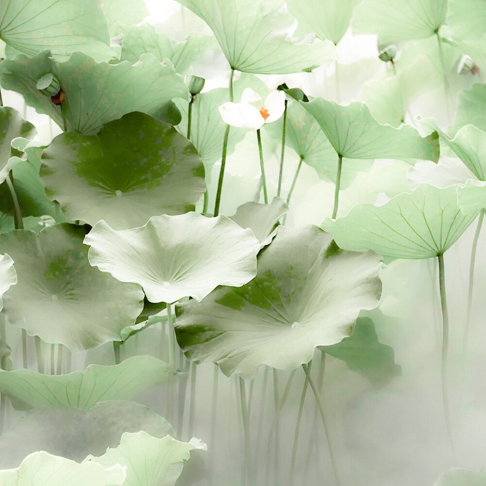 姜惠元可二改，微调，使用注明棠眠