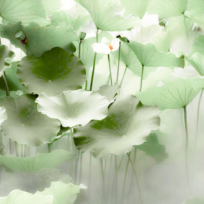 姜惠元可二改，微调，使用注明棠眠