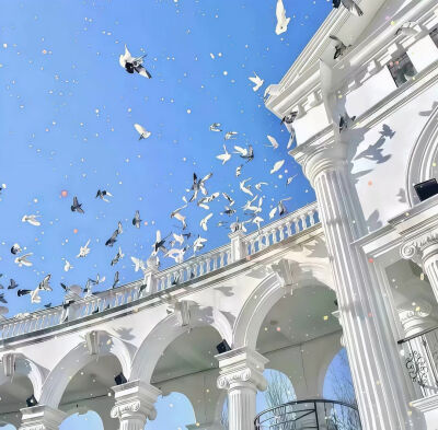 背景图