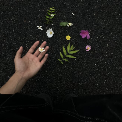 男头
你的眼睛比海辽阔