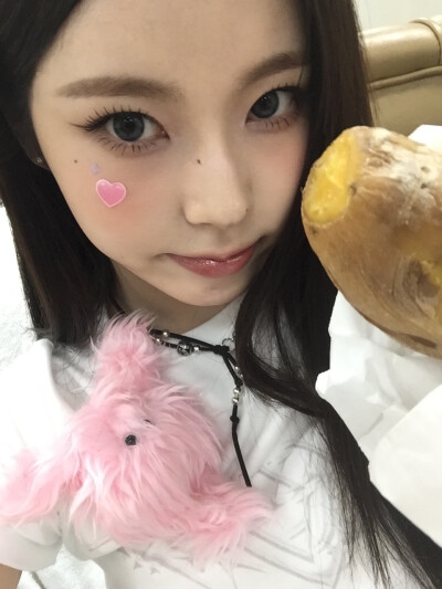 张圭真