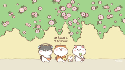 电脑壁纸