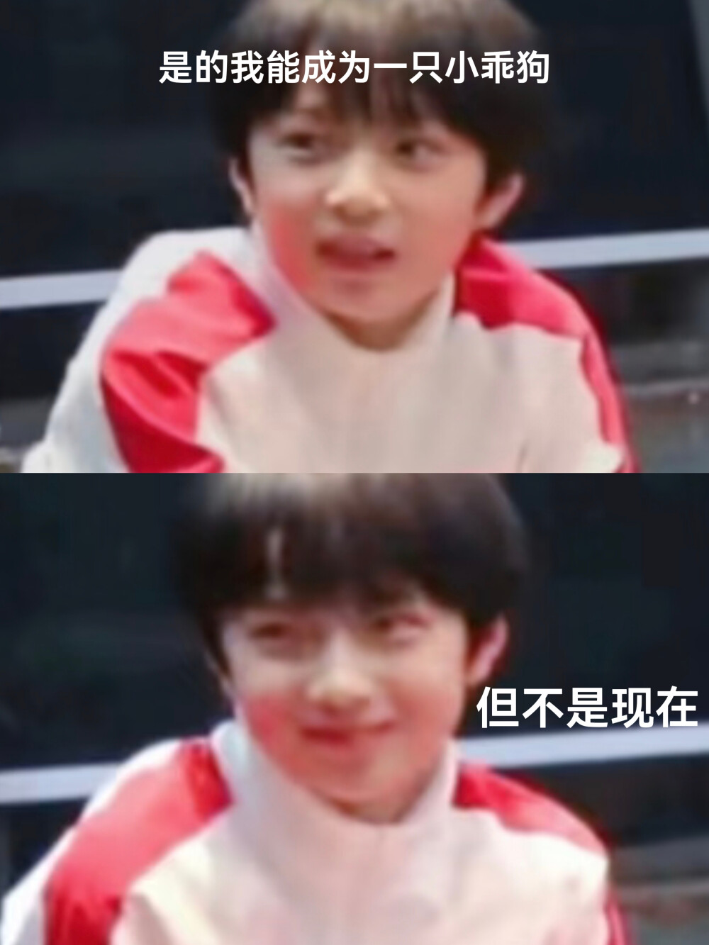 天才汪