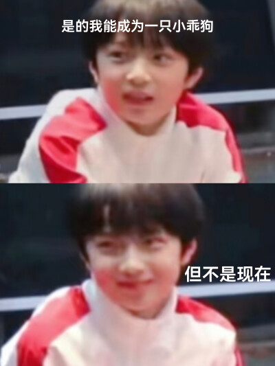 天才汪