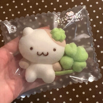 (˶‾᷄ ⁻̫ ‾᷅˵)