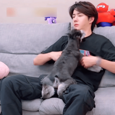 王一博 宠物好有爱