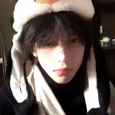 权威男头