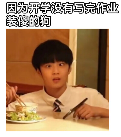 天才汪