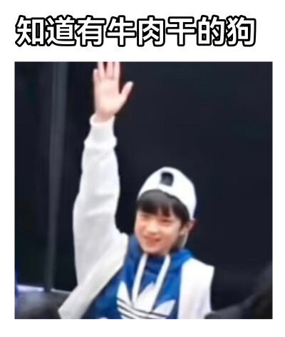 天才汪