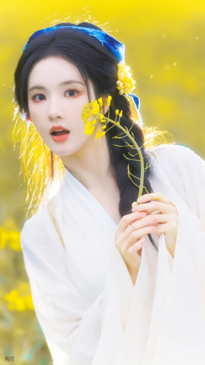 刘些宁