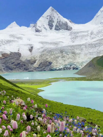 背景图