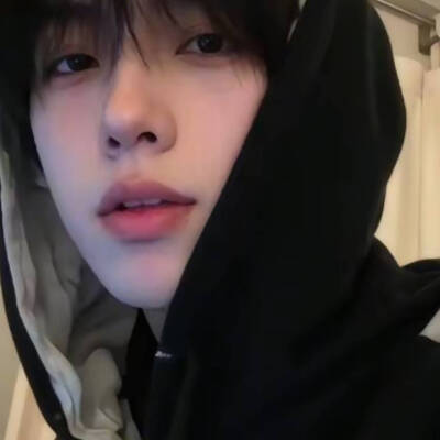 权威男头