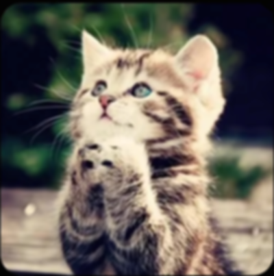 只记得那是一个千禧年的梦