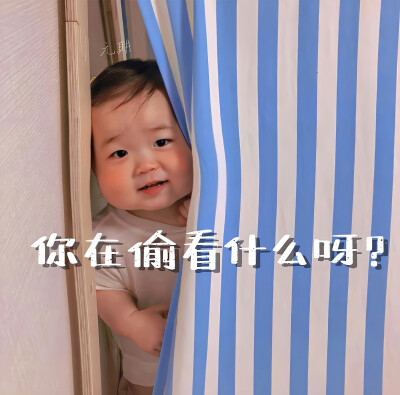 背景图 有趣