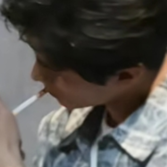 迎春不再需要眼泪