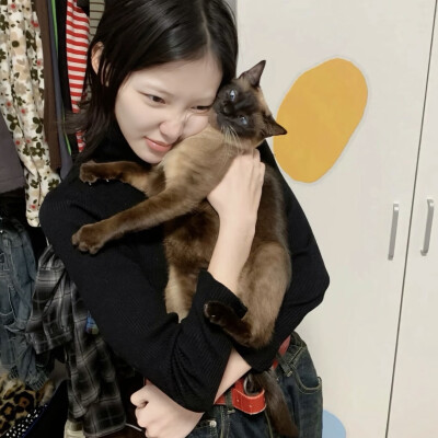 dt林宇婧
