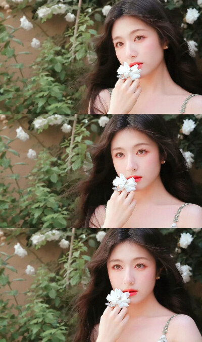 李兰迪