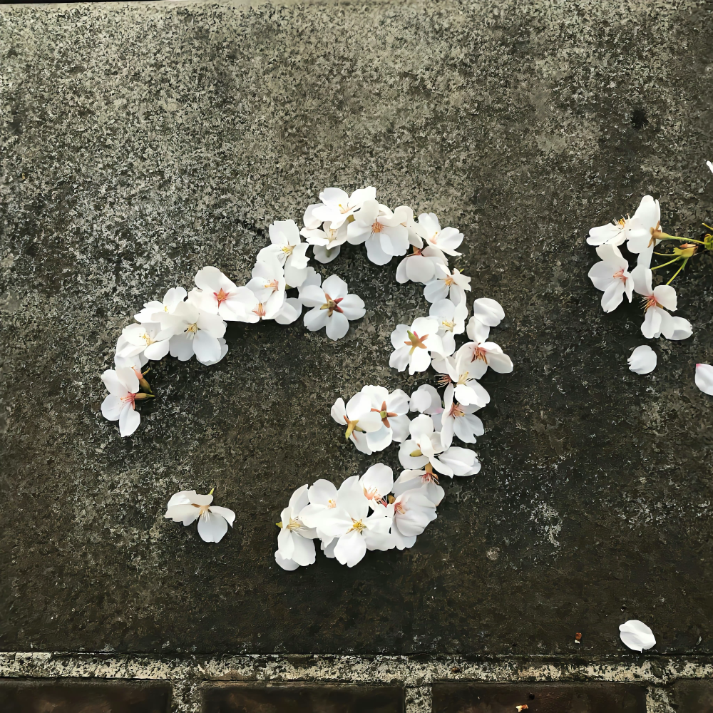 朋友圈背景图｜搬运网络 侵删