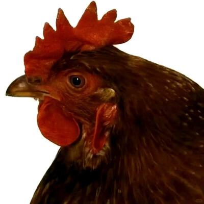 抽象