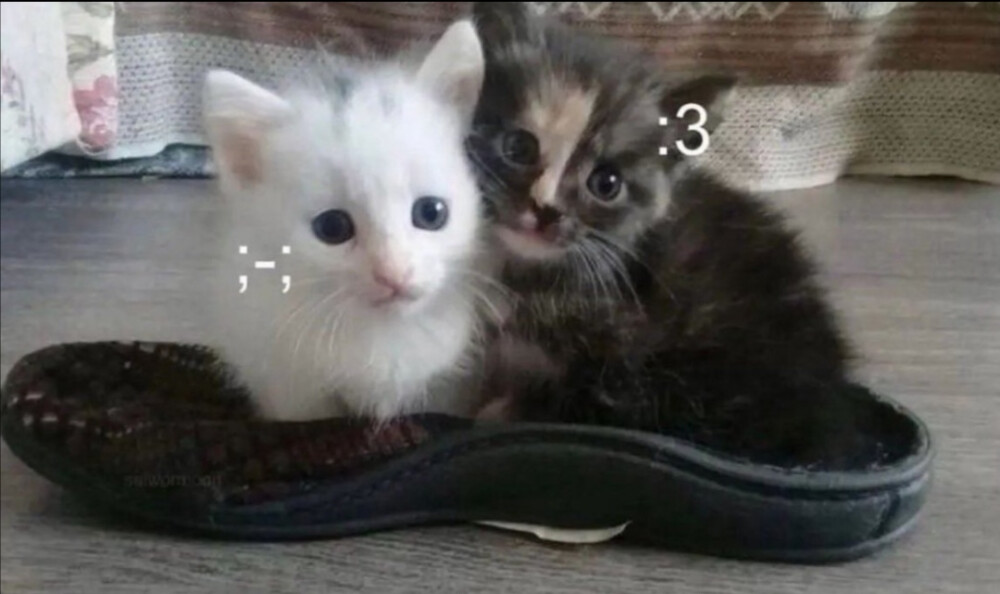 你的身旁应该是我才对