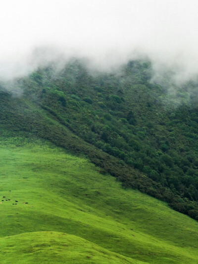 朋友圈背景图｜搬运网络 侵删