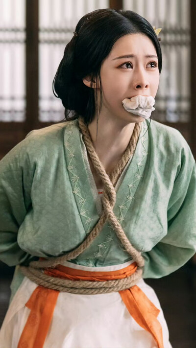 藏珠