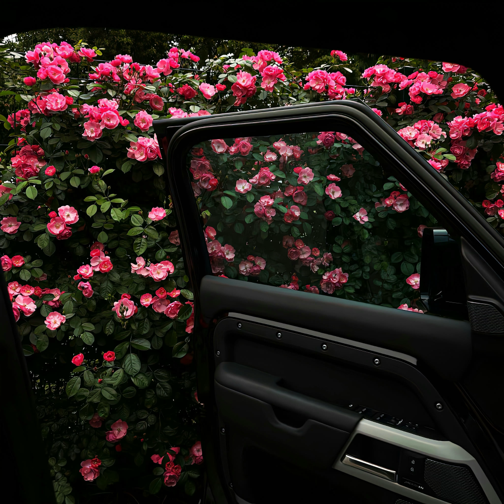 朋友圈背景图｜搬运网络 侵删