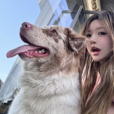 dt林宇婧